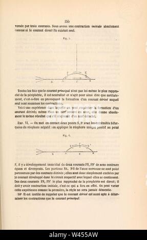 Comptes rendus des séances de la Société de Biologie et de ses filiales (pagina 255) Foto Stock