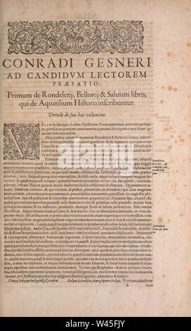 Conradi Gesneri medici Tigurini Historiae animalium liber IV Foto Stock