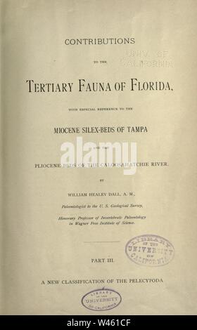Contributi per la fauna terziaria della Florida Foto Stock