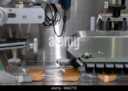 Pane cotto sul nastro trasportatore in movimento per pack nel sacchetto di plastica in corrispondenza della linea di produzione in macchina panetteria fabbricazione fabbrica. industria di trasformazione degli alimenti. Foto Stock