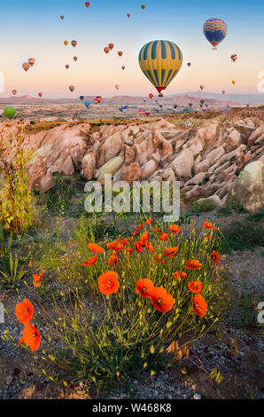 Mongolfiera che sorvola il paesaggio roccioso con papaveri Cappadocia Turchia Foto Stock