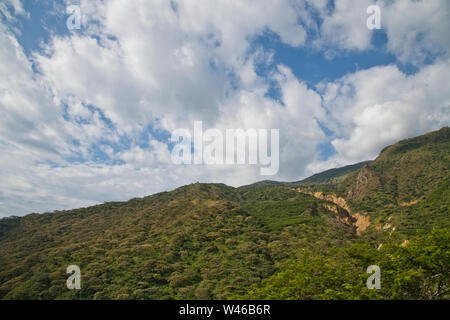 Huamachuco a Cajamarca,Nord del Perù Highlands,fioritura pendii,Perù,America del Sud Foto Stock