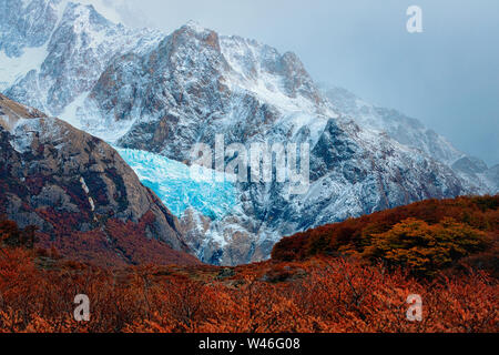 Chiaro blu cielo sopra Glaciar Piedras Blancas e faggi. Parco nazionale Los Glaciares, Ande, Patagonia, Argentina Foto Stock