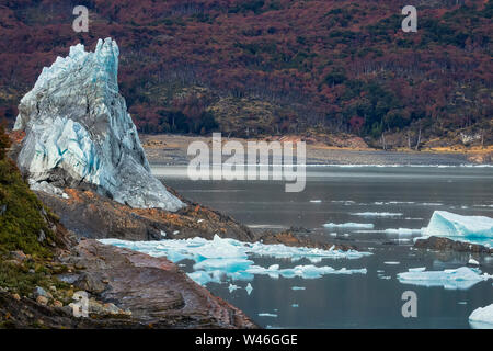 Piccola parte di iceberg nel Perito Moreno park. Parco nazionale Los Glaciares. Santa Cruz Provincia, Argentina. Patagonia Foto Stock