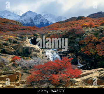 Una piccola cascata di fronte Fitzroy mountain range. Colori d'Autunno nel parco nazionale Los Glaciares. El Chalten. Nasello di Patagonia Argentina. Andes Foto Stock