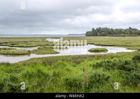 Arne RSPB reserve si trova affacciato sulla foce del porto di Poole, Dorset, England, Regno Unito Foto Stock