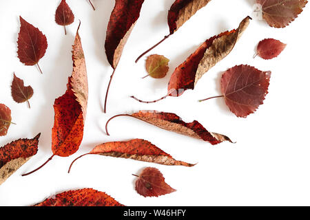 Composizione d'autunno. Disegno da foglie essiccate su sfondo bianco. In autunno, caduta, la Giornata del ringraziamento concetto. Piatti creativi di laici che, vista dall'alto, spazio di copia Foto Stock