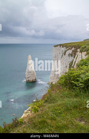 I Pinnacoli da Ballard verso il basso la costa del Dorset, England, Regno Unito Foto Stock