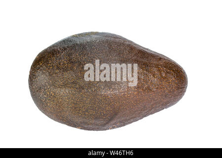 Avocado nero isolato su uno sfondo bianco Foto Stock