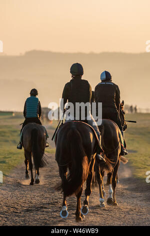 Fantini esercitare i cavalli da corsa su Middleham galoppa in North Yorkshire Foto Stock