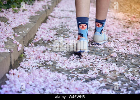 Ragazza camminare sul rosa ciliegia petali di fiore Foto Stock