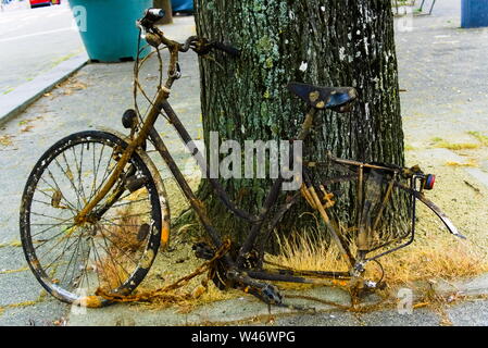 Bike pescato fuori del canale dalla città di detergenti e che vogliono essere prelevato dal cestino Foto Stock