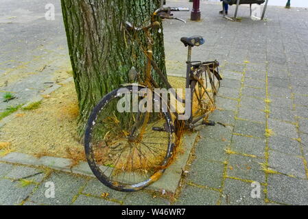 Bike pescato fuori del canale dalla città di detergenti e che vogliono essere prelevato dal cestino Foto Stock