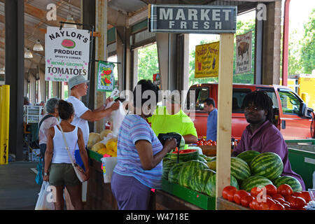 I clienti di guardare al di sopra coltivati localmente i cocomeri a La Carolina del Nord Mercato degli Agricoltori in Raleigh. Foto Stock