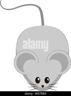 Carino piccolo mouse, illustrazione, vettore su sfondo bianco. Illustrazione Vettoriale