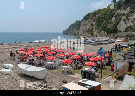 La birra vicino a Seaton, Devon, Inghilterra, Regno Unito. Giugno 2019. La birra sulla spiaggia di Jurassic Coast in East Devon. La spiaggia di birra con gesso bianco scogliere. Foto Stock