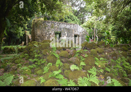 Re Kamehaeha III Summer Palace, Hawaii rovine sacra Foto Stock