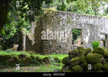 Re Kamehaeha III Summer Palace, Hawaii rovine sacra Foto Stock