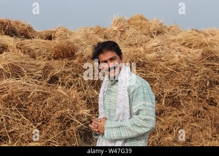 L'agricoltore indiano in piedi in raccolte campo di coltivazione Foto Stock