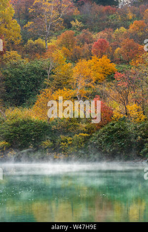 Bosco autunnale onsen lago a Jigoku Numa, Hakkoda Aomori Tohoku Giappone Foto Stock