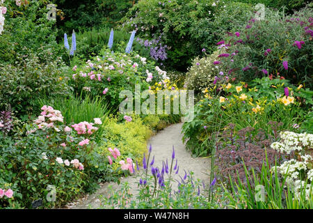 Un misto di estate confine erbacee in alta stagione estiva, Rosemoor, Devon, Regno Unito - Giovanni Gollop Foto Stock