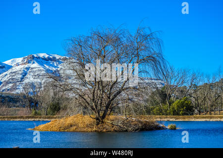 Picture Perfect Snow capped Drakensberg montagne e pianure verdi in Underberg vicino Sani Pass Africa Foto Stock