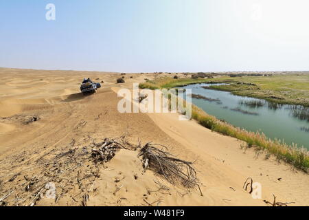 Keriya fiume che scorre N.into il deserto di Taklamakan. Xinjiang Uyghur Region-Cina-0353 Foto Stock