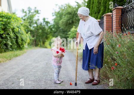 Grande nonna e bimbo ragazza a caccia di fiori all'aperto in campagna Foto Stock