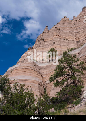 Hillside, Kasha-Katuwe tenda Rocks National Monument. Nuovo Messico. Foto Stock