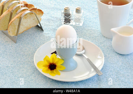 Bollito di fattoria fresco bianco uovo in eggcup blu su bianco e blu tovaglia modellato con pane tostato e tè. In formato orizzontale con il fuoco selettivo su eg Foto Stock