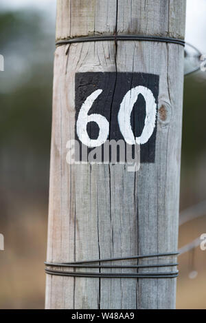 Un gran legno post supporto graticci di vino presso la cantina dei carrelli nel Nuovo Galles del Sud la Hunter Valley, in Australia la mattina presto Foto Stock