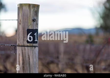 Un gran legno post supporto graticci di vino presso la cantina dei carrelli nel Nuovo Galles del Sud la Hunter Valley, in Australia la mattina presto Foto Stock