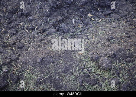 La texture di nero il terreno fertile Foto Stock