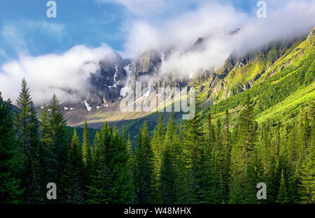 Picchi di montagna sono avvolte nella nebbia fitta. Mattinata estiva in montagna siberiana. Oriente Sayan. Repubblica Tyva. Asia centrale Foto Stock