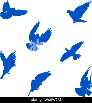 Serie di illustrazioni vettoriali di piccioni viaggiatori o le colombe sagome volare con ali stese in diverse angolazioni Illustrazione Vettoriale