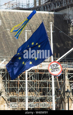 Londra, Regno Unito. 20 luglio 2019: Anti Brexit manifestanti si riuniscono in piazza del Parlamento a seguito di un marzo a Londra. È stato stimato che 1 milioni di persone hanno partecipato da tutte le regioni del paese Credito: Bridget Catterall/Alamy Live News Foto Stock