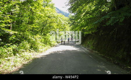 Juniko dodici laghi Shirakami-Sanchi zona montuosa. Un sito Patrimonio Mondiale dell'UNESCO nella regione di Tohoku. Nella Prefettura di Aomori, Giappone Foto Stock