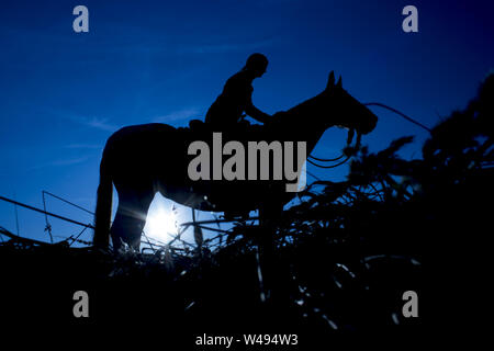 Silhouette cowgirl equitazione sulla piana aperta in western al tramonto in blu Foto Stock