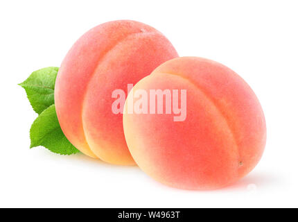 Isolate le albicocche. Due rosa fresca frutta albicocca isolato su sfondo bianco con tracciato di ritaglio Foto Stock