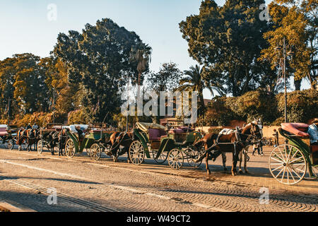 Carrozze trainate da cavalli per i turisti in Marrakech Foto Stock