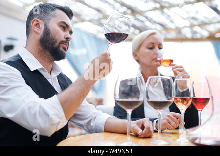 Giovani fiduciosi cantina Degustazione di esperti di nuovo tipo di vino rosso Foto Stock