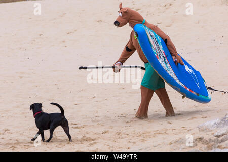 Branksome Dene lombata, Poole, Dorset, Regno Unito. Il 21 luglio 2019. Dopo il successo degli ultimi anni UKs primo cane campionati di surf, organizzato da Shaka Surf, a Branksome Dene Chine beach, la manifestazione si svolge per il secondo anno con ancor più i cani che vi partecipano e surf e paddleboarding sulle loro tavole. La folla a sua volta guarda il divertimento su breezy day rendendo le condizioni più impegnative. Harper, Patterdale Labrador croce dog e Scooby Doo stanno navigando. Credito: Carolyn Jenkins/Alamy Live News Foto Stock