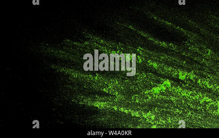 Verde polvere holi sbattuto su sfondo nero Foto Stock