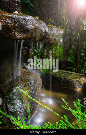 Una piccola cascata nella foresta e jungle, nascosti tra le piante, buio e poco sole. Le riprese con una lunga esposizione, sfondo verde di piante Foto Stock