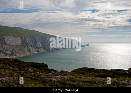 Allume Bay, guardando verso gli aghi, Isle of Wight, Regno Unito Foto Stock