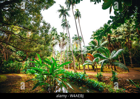 Sir Seewoosagur Ramgoolam Botanical Garden sulla paradisiaca isola di Mauritius. Tonica immagine. Foto Stock