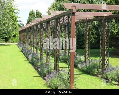 Una lunga pergola in legno, con lavanda crescente alla base di tutti i pilastri, è una caratteristica del giardino in stile vittoriano a Burnby Giardini Hall nello Yorkshire. Foto Stock