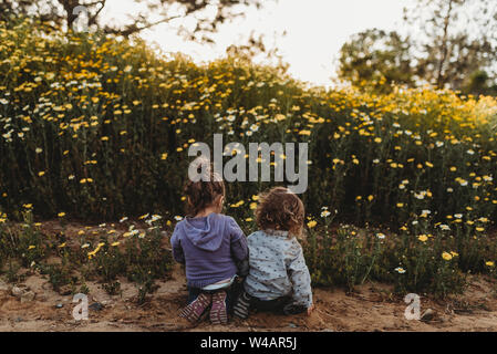 Immagine della parte posteriore del bambino bambini scavando in un campo di fiori Foto Stock