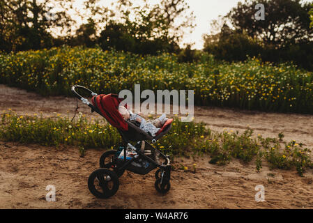 Vista laterale del passeggino e bambino in campo di fiori Foto Stock