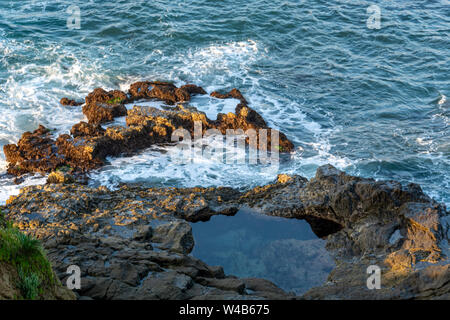 Spruzzi delle onde contro le rocce a bassa marea formare un pool di marea in laguna Beach. Pozze di marea sono habitat di animali adattabile studiato dai biologi marini. Foto Stock